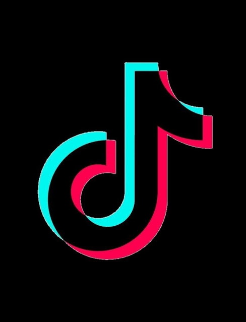 TikTok video downloader no watermark