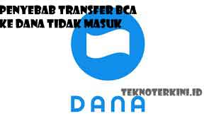 Inilah Penyebab Transfer BCA Ke DANA Tidak Masuk