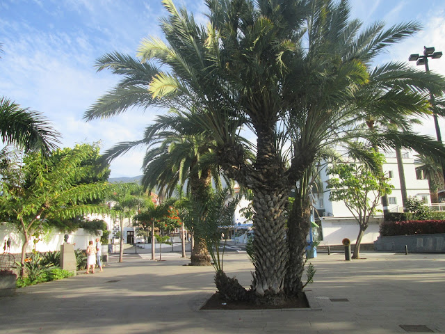 Puerto de la Cruz, Teneryfa