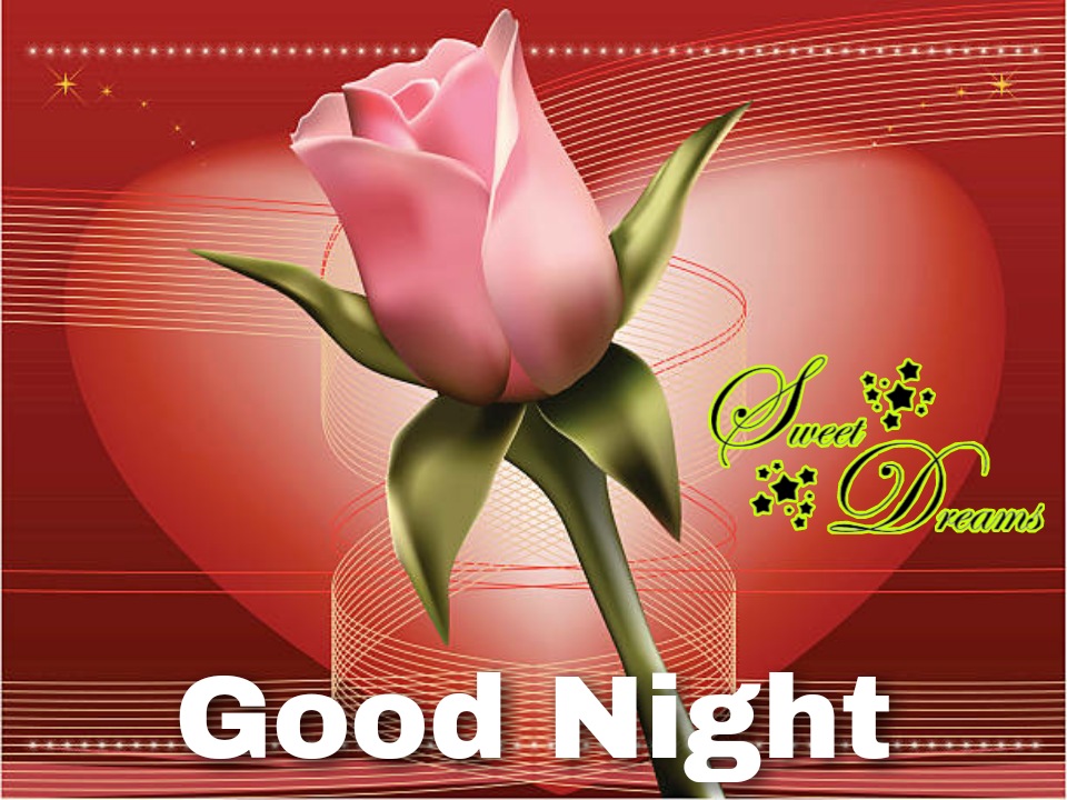 latest good night love Wallpaper free Download for whatsapp dp