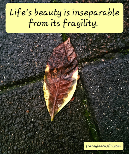 Fragility Quote