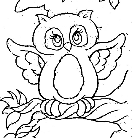Coloring on Abc Station  Owl Coloring Pages