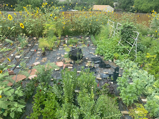 Aerial View of Urban Farm