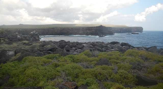 Celebrity Expedition Galapagos