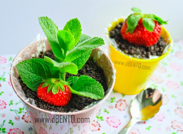 how to make cheese cake with strawberry plant in pot