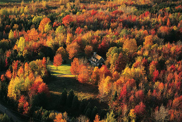 beautiful places - amazing houses