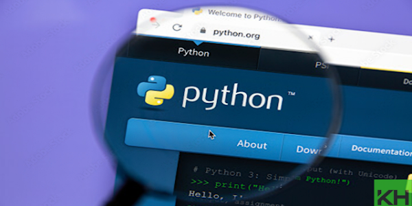 Why is Python ideal for beginners?