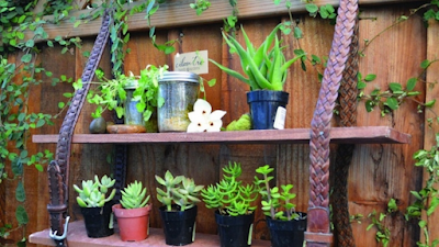 Garden DIY Projects