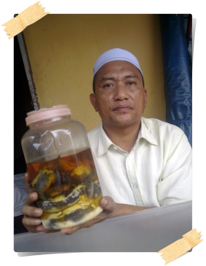 Menjual Ubat Kuat Lelaki: Ikan Belacak