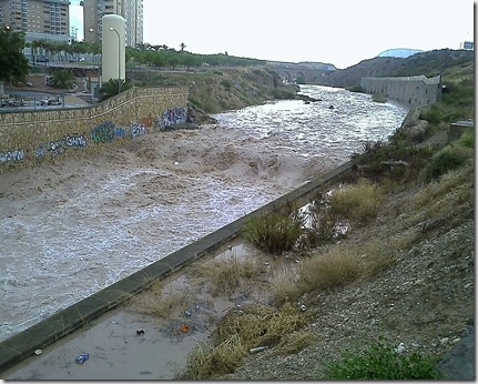 IMAGE_706[1]