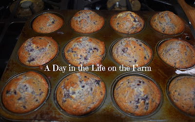 Blueberry Basil Muffins