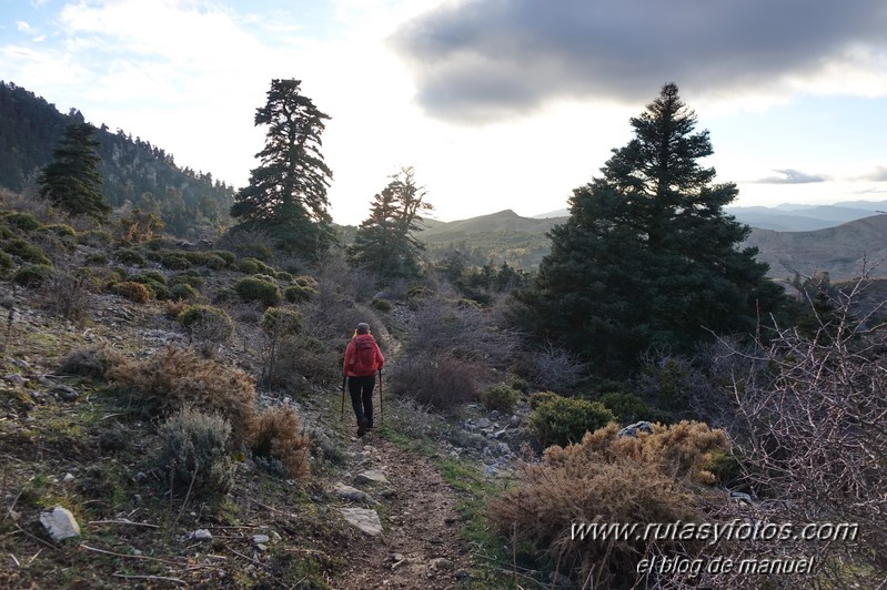 Cañada del Cuerno - Torrecilla - Cañada de las Ánimas