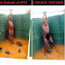 Sad:  Soldier Loses His Manhood After Being Allegedly Tortured In Military Barracks. [Photos]