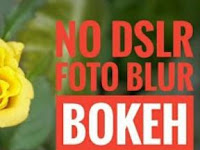 Download waptrick bokeh full jpg Terbaru 2020 untuk android
