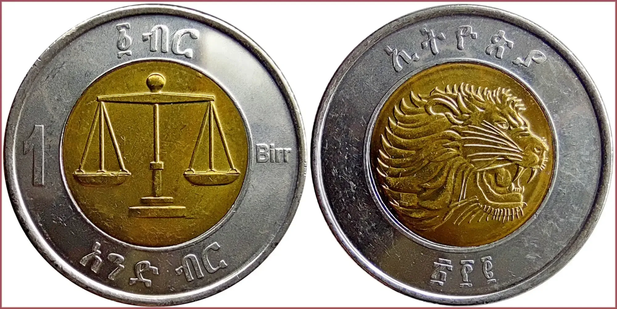 1 birr, 2010: Federal Democratic Republic of Ethiopia