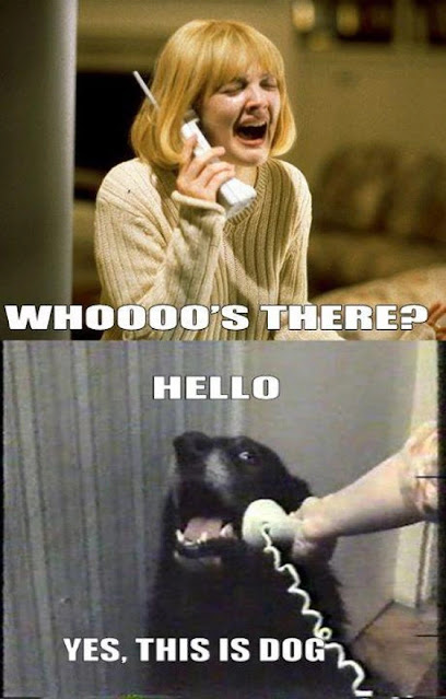 Hello, This is Dog