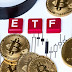 What are Bitcoin ETFs? How does it work?