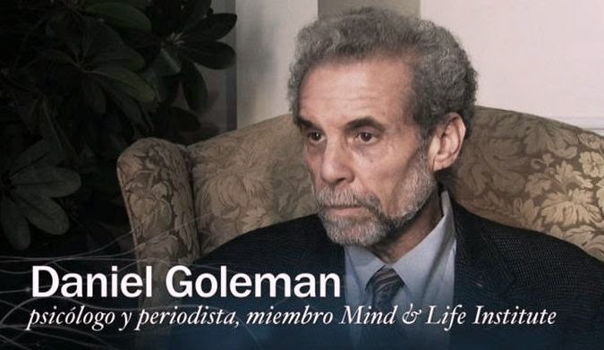 Emotional Intelligence/ EQ Menurut Daniel Goleman