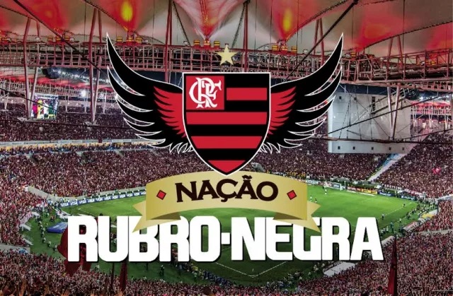 escudo nação rubro negra socio torcedor