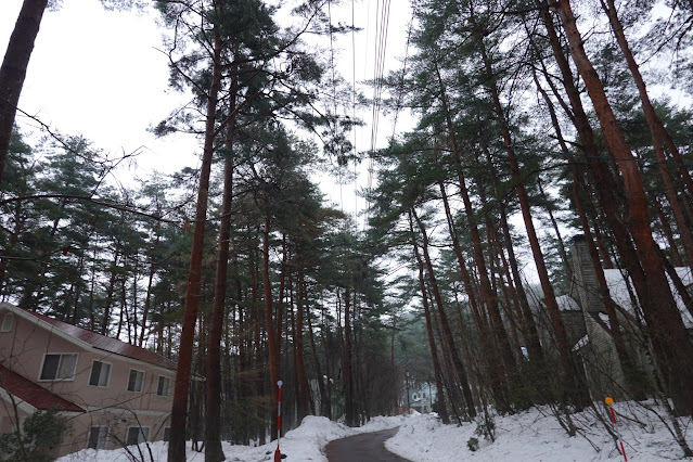 鳥取県西伯郡伯耆町丸山 ロイヤルシティ大山