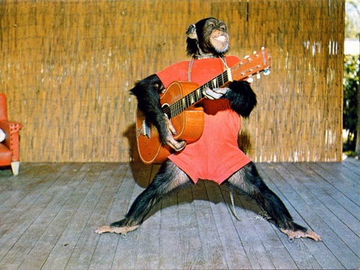 ten_exotic_pets_in_the_world-www.wonders-world.com-07