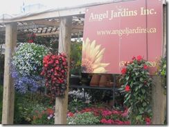 Angel Jardins