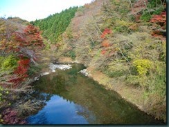 DSCN0794