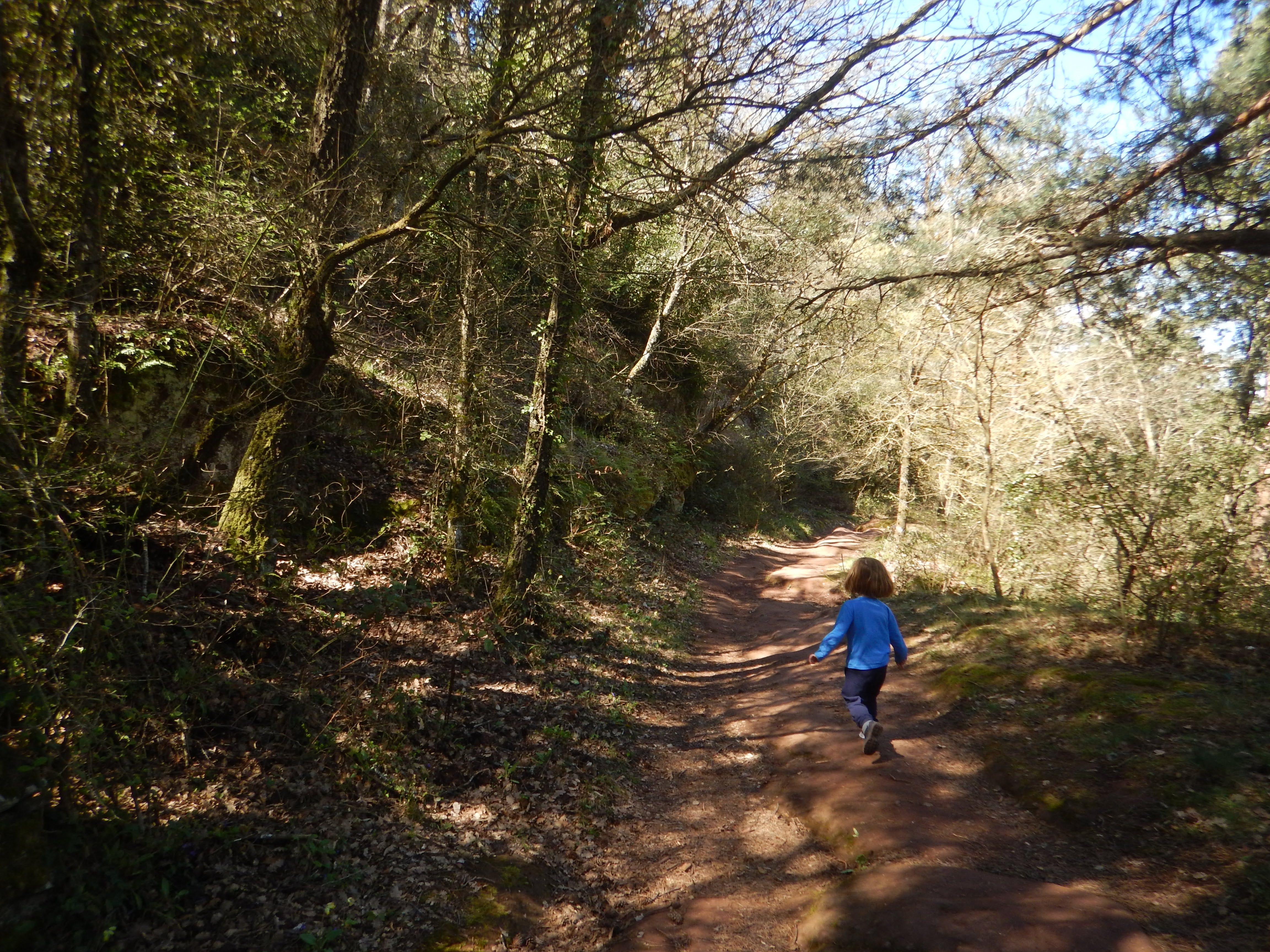 Camí Vell de l'Abellera
