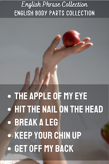 English Phrase Collection | English Body Parts Collection | The apple of my eye, Hit the nail on the head, Break a leg, Keep your chin up,  Get off my back