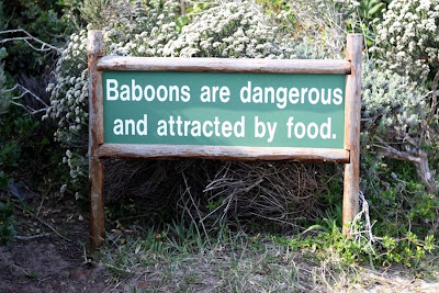 Baboon Sign