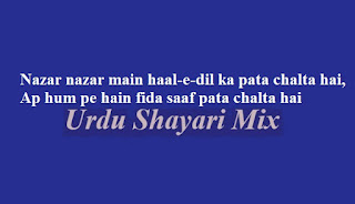 Love poetry, Love shayari, Shero shayari