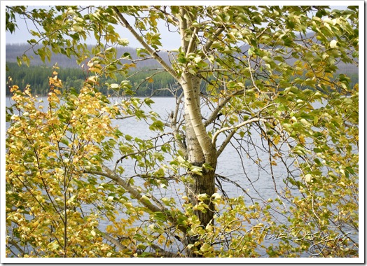IMG_0182 copy_web