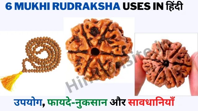 6 Mukhi Rudraksha Benefits in Hindi