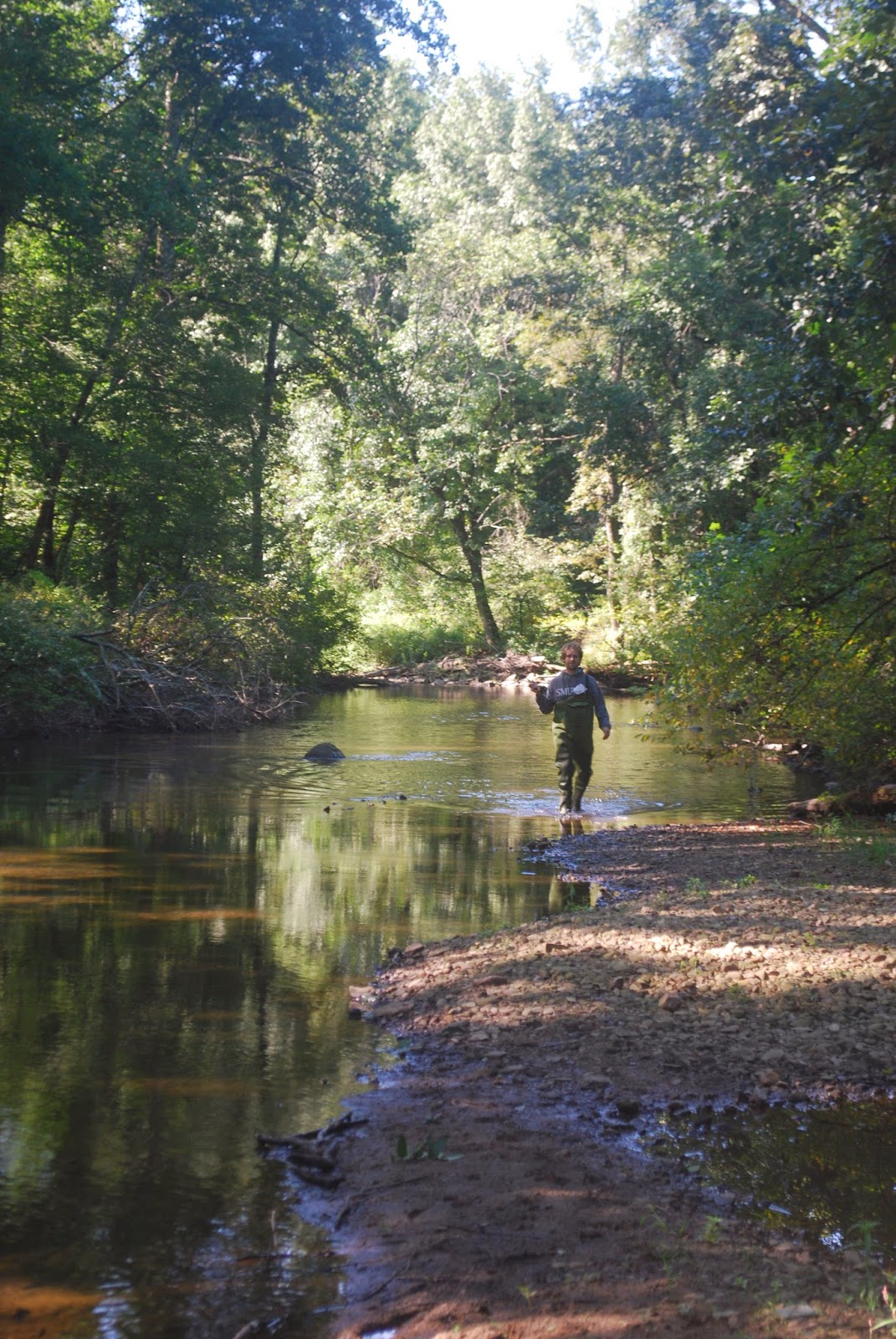 Litton's Fishing Lines: Fly Fishing the Claremont South Branch Raritan River