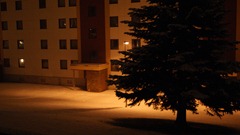 DSC03481