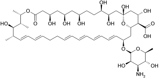 Chemical structure of Nystatin A1