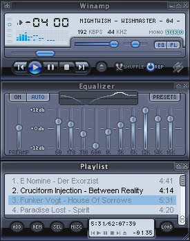 Winamp Media Player 11 Skin