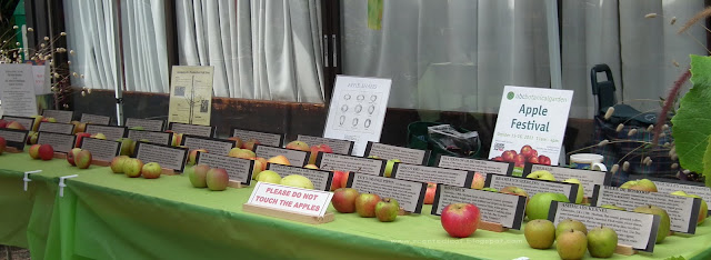  Apple varieties display at 2011 Master Gardeners Harvest Festival