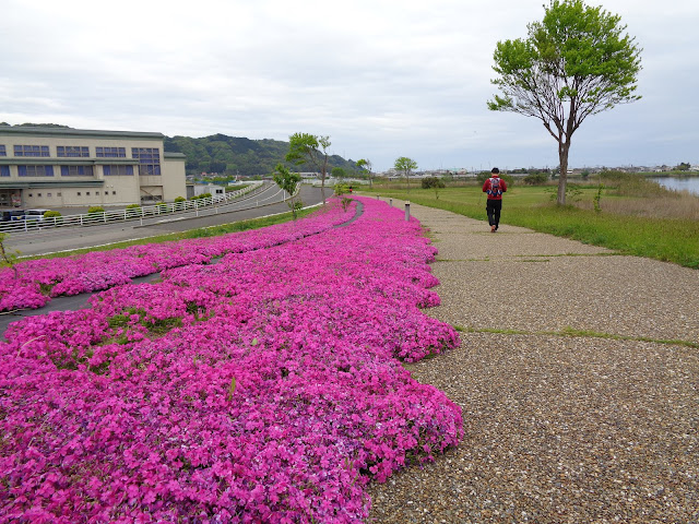 東郷湖羽合臨海公園