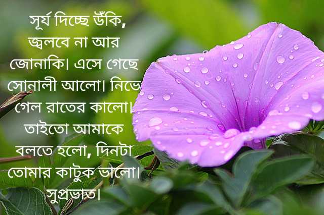 Romantic Good Morning Quotes in Bengali