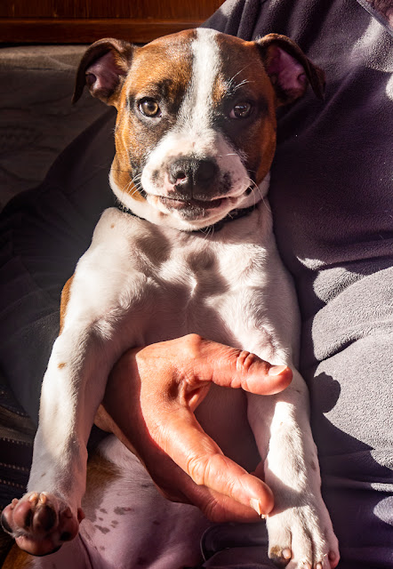 Photo of Ruby smiling for the camera