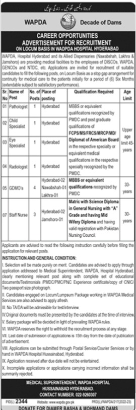 Latest Wapda Hospital Medical Posts Hyderabad 2023