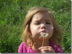 IMG_2625