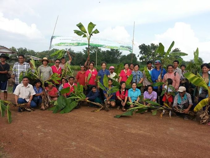 กศน.อำเภอทับคล้อจัดกิจกรรมโครงการอนุรักษ์สิ่งแวดล้อม เพื่อเฉลิมพระเกียรติพระบาทสมเด็จพระเจ้าอยู่หัว เนื่องในวโรกาสวันเฉลิมพระชนมพรรษา 88 พรรษา 5 ธันวาคม 2558