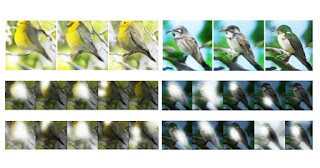 Microsoft Deep Learning AI with Attentional Generative Adversarial Network (AttnGAN)