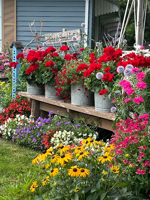 Photo of a long wooden bench in a flower border.