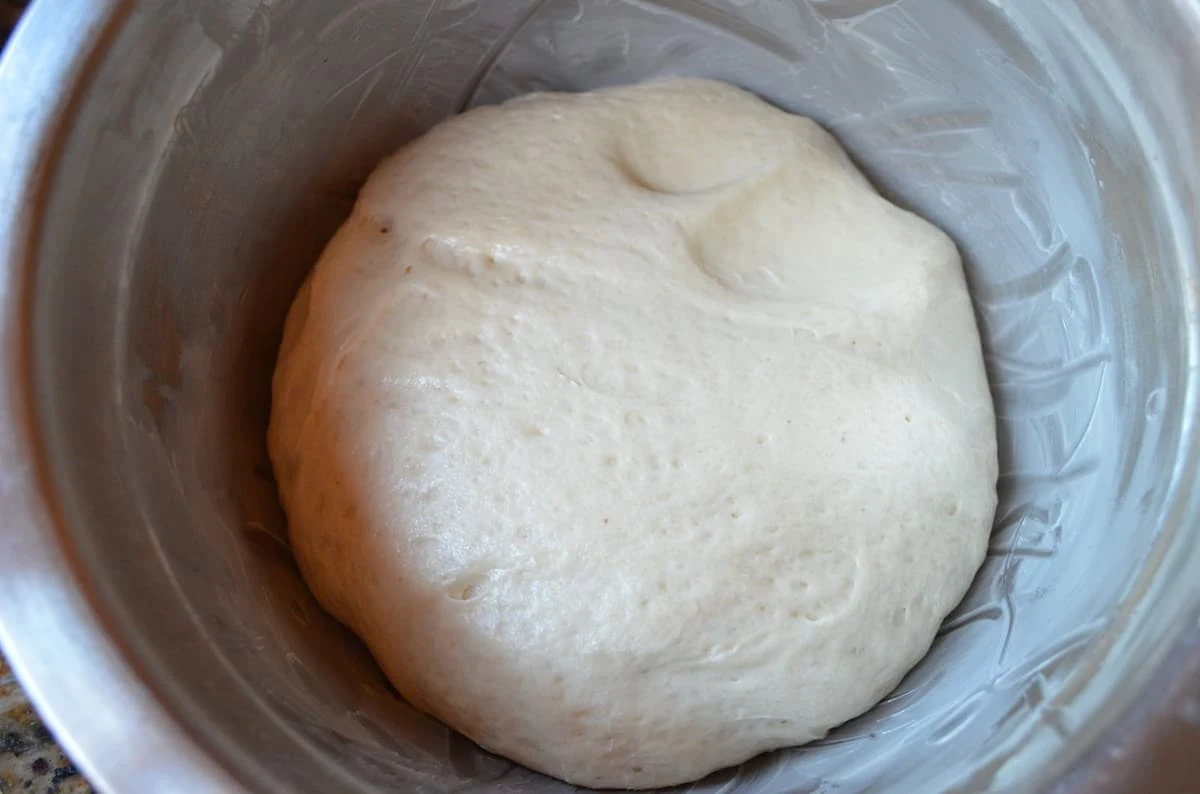 Risen French Bread Dinner Roll Dough in a greased stainless steel bowl.