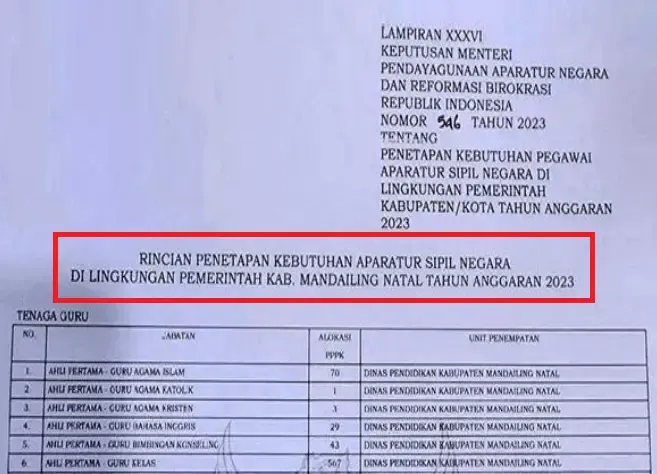 Rincian Formasi ASN PPPK Kabupaten Mandailing Natal Tahun 2023 pdf