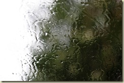 JB_20090513_0118
