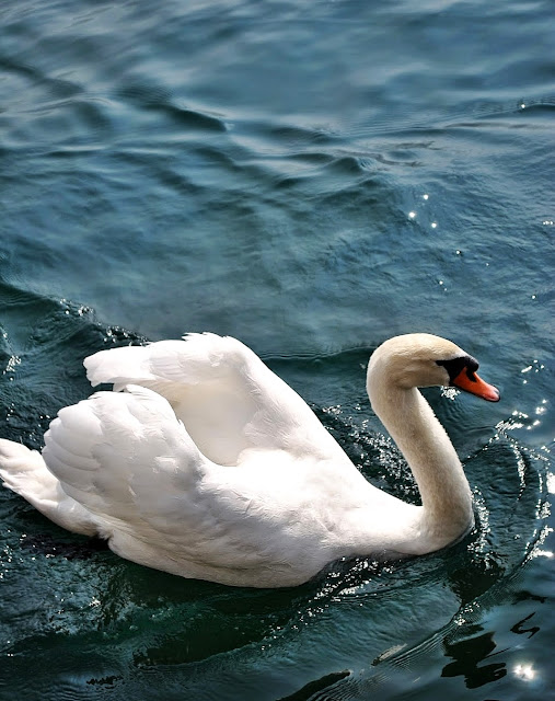 Ferienunterkunft am Gardasee